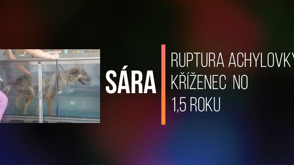 Sára - ruptura achylovky